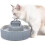 2.1L Ceramic Cat Bowl Activated Carbon Filter 2