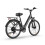 URLIFE E26 48V10.4AH Step-thru City Ebike,black 13