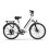 URLIFE E26 48V10.4AH Step-thru City Ebike,white 14
