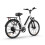 URLIFE E26 48V10.4AH Step-thru City Ebike,white 15