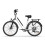 URLIFE E26 48V10.4AH Step-thru City Ebike,white 17