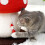 Living And Home Sisal Mushroom Cat Scratching Post 5
