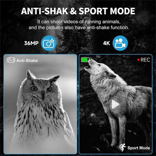 Infrared Night Vision Glasses for Camping 2