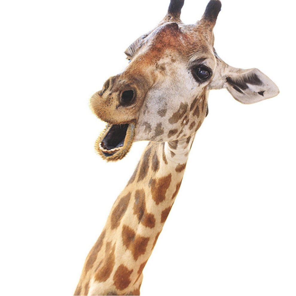 Realistic Designs, Vibrant Colors Giraffe Removable Wall Decals Eco-friendly Inks For Nursery Bedroom Playroom