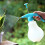Heavy Type Plastic Plant Watering Can With Double Sprays-Blue 5