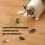 Interaction Cats Dog Toy Obstacle Avoidance-Formicidae model 3