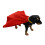 Pet Ponchos Thermals Polyester Outerwear For Parakeets-L 7
