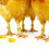 Numbered Poultry Leg Rings for Chicken Duck-Green 5