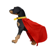 Winter Dogs Cloaks Soft Thickened Fabric Warm Pet Capes For-M