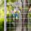Outdoor-Windspiel in Eulenform für Balkon, Hinterhof, 4