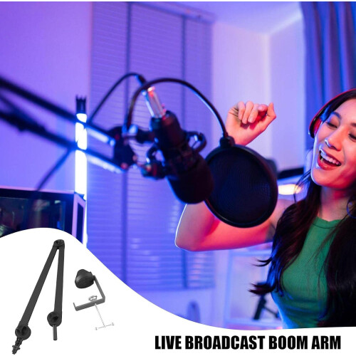 Microphone Boom Arm, Desktop Microphone Arm, Rotation Switch Holder for Recording 1