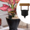 Self Watering Planter Insert Flower Watering Device Conical Bottom Drip Irrigation 4