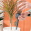 Automatic Plant Waterers with Bottle  Slow Release Control Valve for Indoor Balcony 5