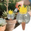 Planter Watering Globes, 2X Automatic Bulbs Drip Irrigation System 5