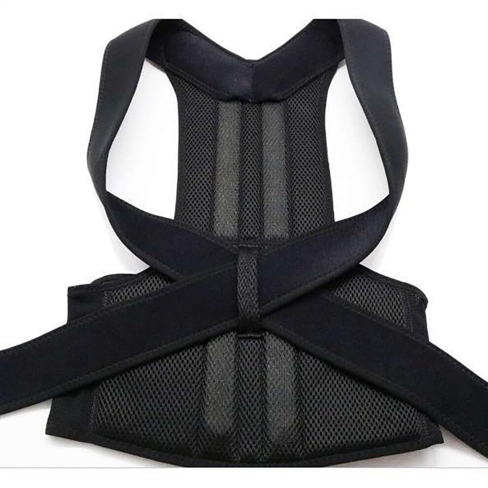 Adjustable Back Support Belt for Office, Home Gym, Unisex, Posture Corrector, Back Straightener, Full Back Support (M)