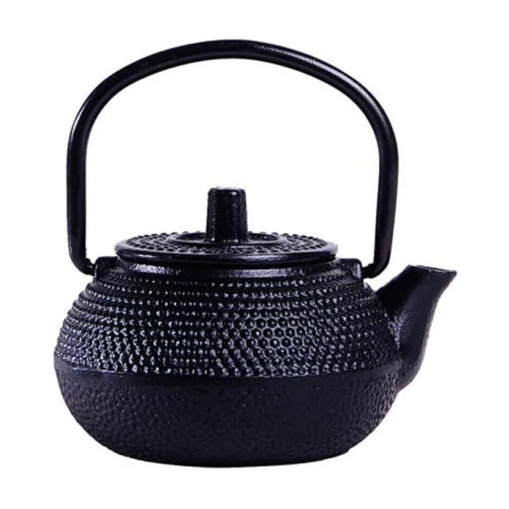 Japanese Tea Kettle Iron Pot Uncoated Teapot 1.6oz/0.05L Cast Iron-image-OPC-PNYHT2B-NEW