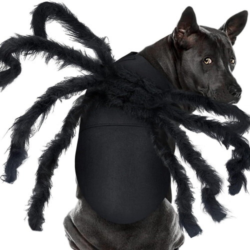 Costume de Cosplay pour chien, araignées, arachnides,-L