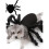 Costume de Cosplay pour chien, araignées, arachnides,-L 7