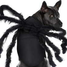Costume amusant pour animaux de compagnie, thème araignée,-M