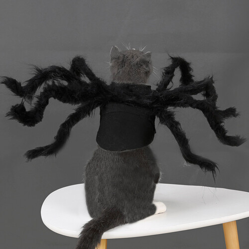 Costume amusant pour animaux de compagnie, thème araignée,-M 2