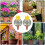 Planter Watering Globes  2X Automatic Bulbs Drip Irrigation System for Busy Individuals 3