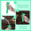 Root Waterer Irrigator Stakes For Shrub Vegetable Flower Beds Tree Houseplants 2
