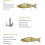 Köder Köder Bionics Fish Lure Slow Sinking Fishing Lure 135mm/28g Fake Bait Hard Lure N 5