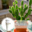Watering Spikes, Slow Release Efficient Irrigation, Automatic Dripper for Home, Garden 5