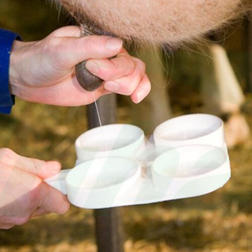 Kuh-Mastitis-Testplatte, Haltbarkeits-Milchprobentablett für den 1