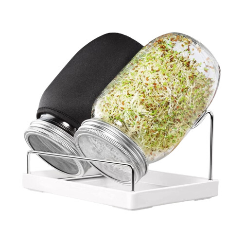 1L Germination Jar Structure With Ventilation Stand Crackly