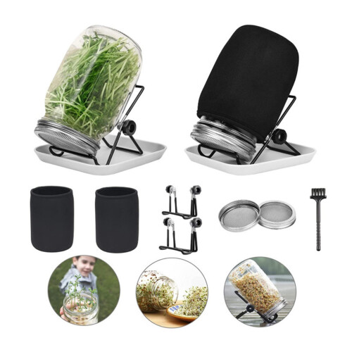 1L Germination Jar Structure With Ventilation Stand Crackly 2
