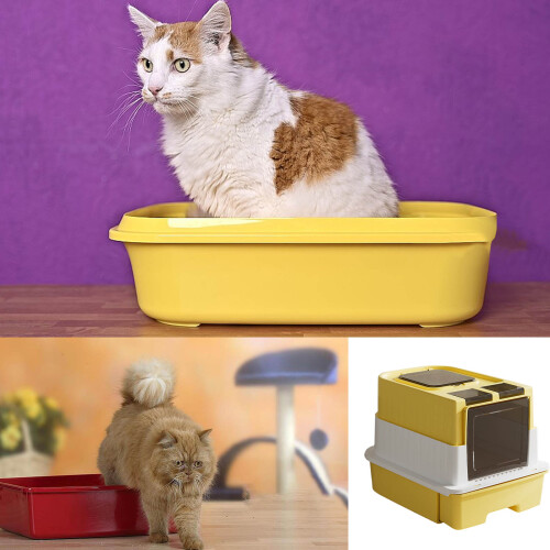 Modern Enclosed Puss Toilet Double Compartment Plan Odor-Gray 1