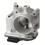 Throttle Body Assembly 1