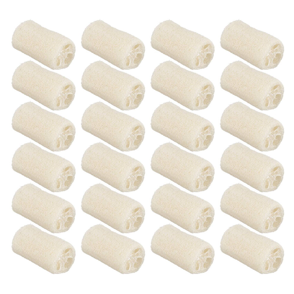 NATURE 24 Pack of Organic Loofahs Loofah Spa Exfoliating Scrubber Natural Luffa Body Wash Sponge Remove Dead Skin