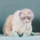 Cat muzzle, breathable cat muzzle for grooming, transparent cat helmet 3