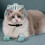 Cat muzzle, breathable cat muzzle for grooming, transparent cat helmet 2