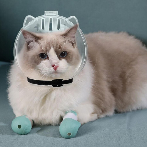 Cat muzzle, breathable cat muzzle for grooming, transparent cat helmet 1