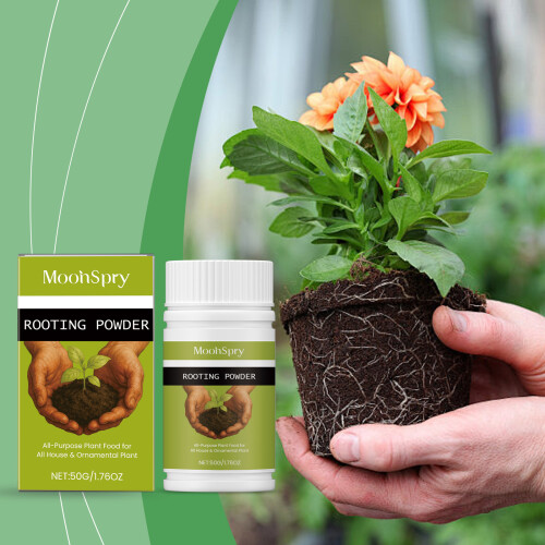 (50g) Rooting powder, common horticulture plants, common nutritional root powder 1