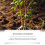 (50g) Rooting powder, common horticulture plants, common nutritional root powder 10