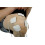 Self-adhesive electrodes for massage instruments 7