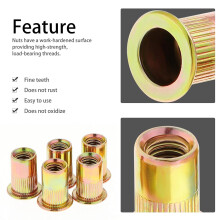 Kit de porcas rebite para metal e plástico, porcas rebite métricas M5 com inserto roscado, zincadas, em aço carbono com cabeça plana, fixadores