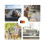 Intelligent Temperature Regulated Pet Slumbering Bag USB-G 2