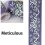 10CM x 10M Self Adhesive Adhesive Wallpaper compatible with Kitchen Wall 4