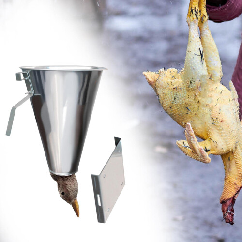 Efficient Chicken Cone Galvanized Flat Back Poultry-9 12 2