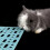 12pack Breathable Pet Foot Pad for Small Animals Ensuring-pink 6
