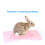 12pack Breathable Pet Foot Pad for Small Animals Ensuring-pink 5