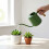 Efficient Water Saving Watering Can Large Capacity-Green 3