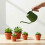 Efficient Water Saving Watering Can Large Capacity-Green 5