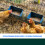 2PCS Chicken Feeding Troughs Hanging Feeder Waterer Bowl-Blue 6