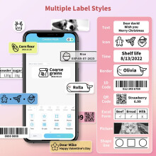 Bluetooth mini-labelprinter, draagbare thermische stickerlabelprinter, directe thermische technologie zorgt voor geen geklieder met inkt, superieure
